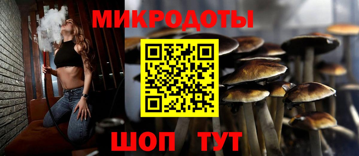 Псилоцибиновые грибы мицелий Советская Гавань