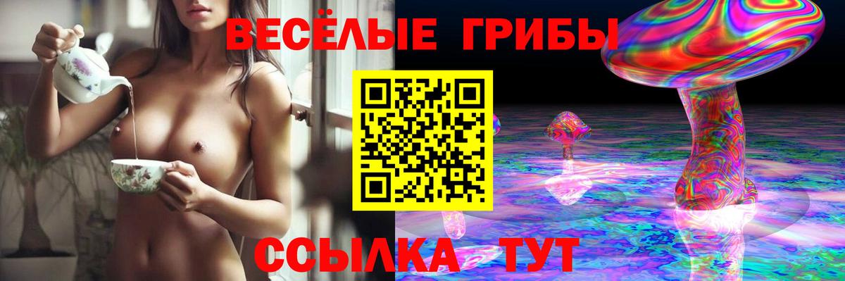 Галлюциногенные грибы Psilocybine cubensis  Вход с VPN  Советская Гавань 